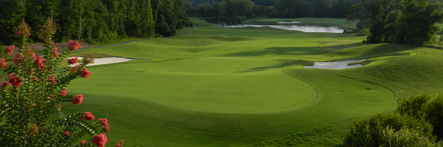 Image of golf ball on tee on grass.